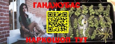 гашик Будённовск