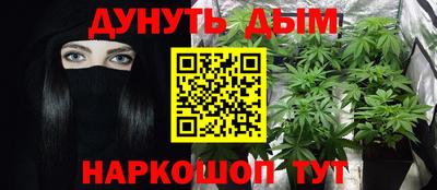 гашик Будённовск