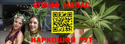 гашик Будённовск
